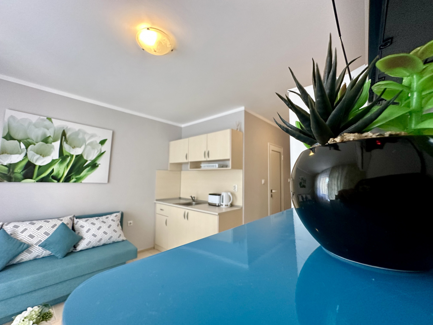 Jasmine Club apartament A34