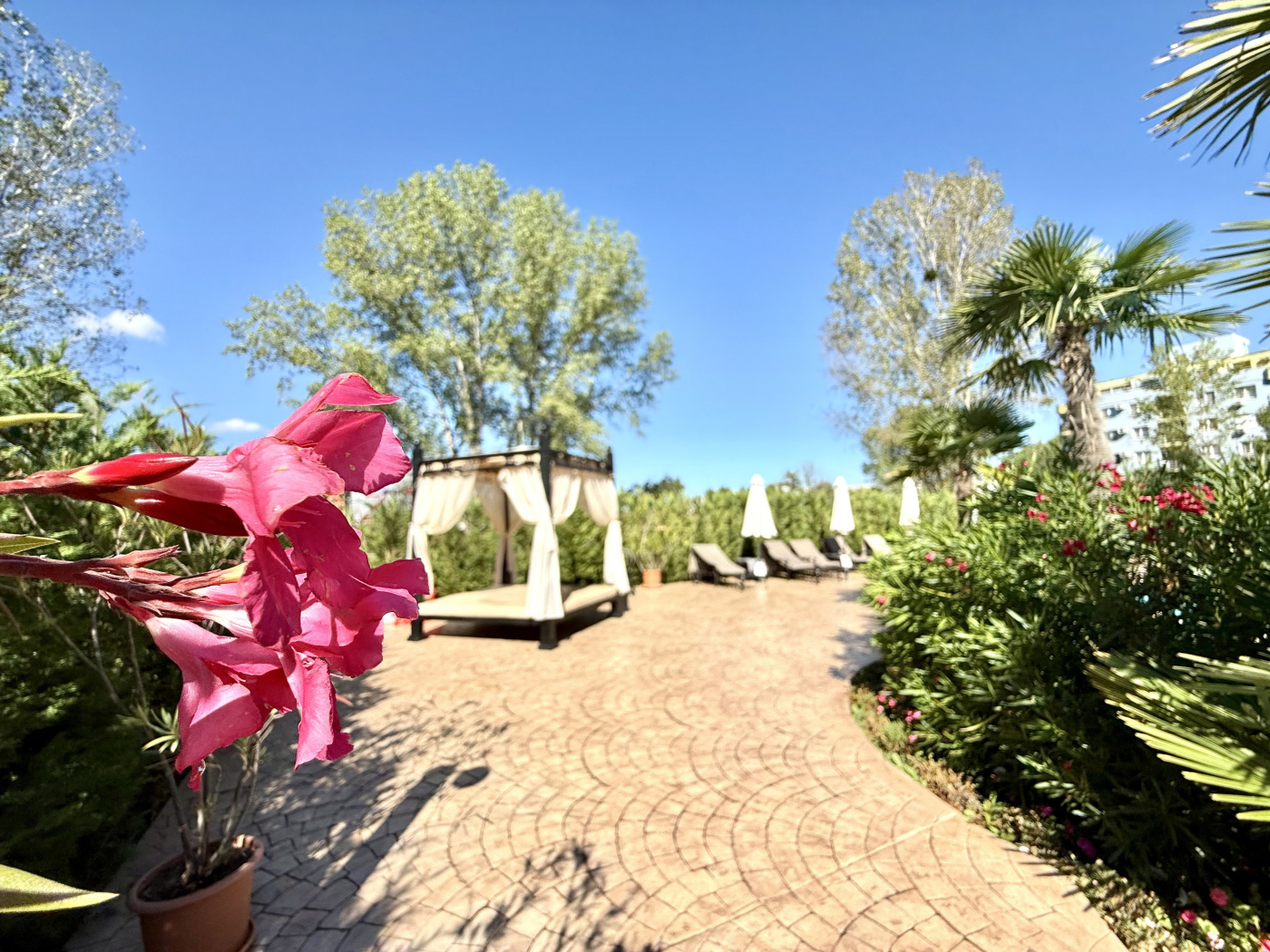 Aphrodite Green Aparthotel