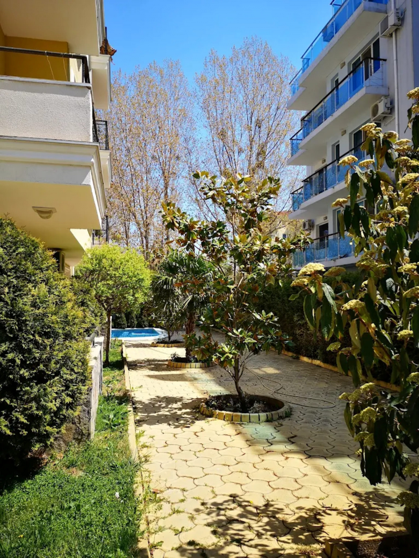 Magnolia 3 Aparthotel